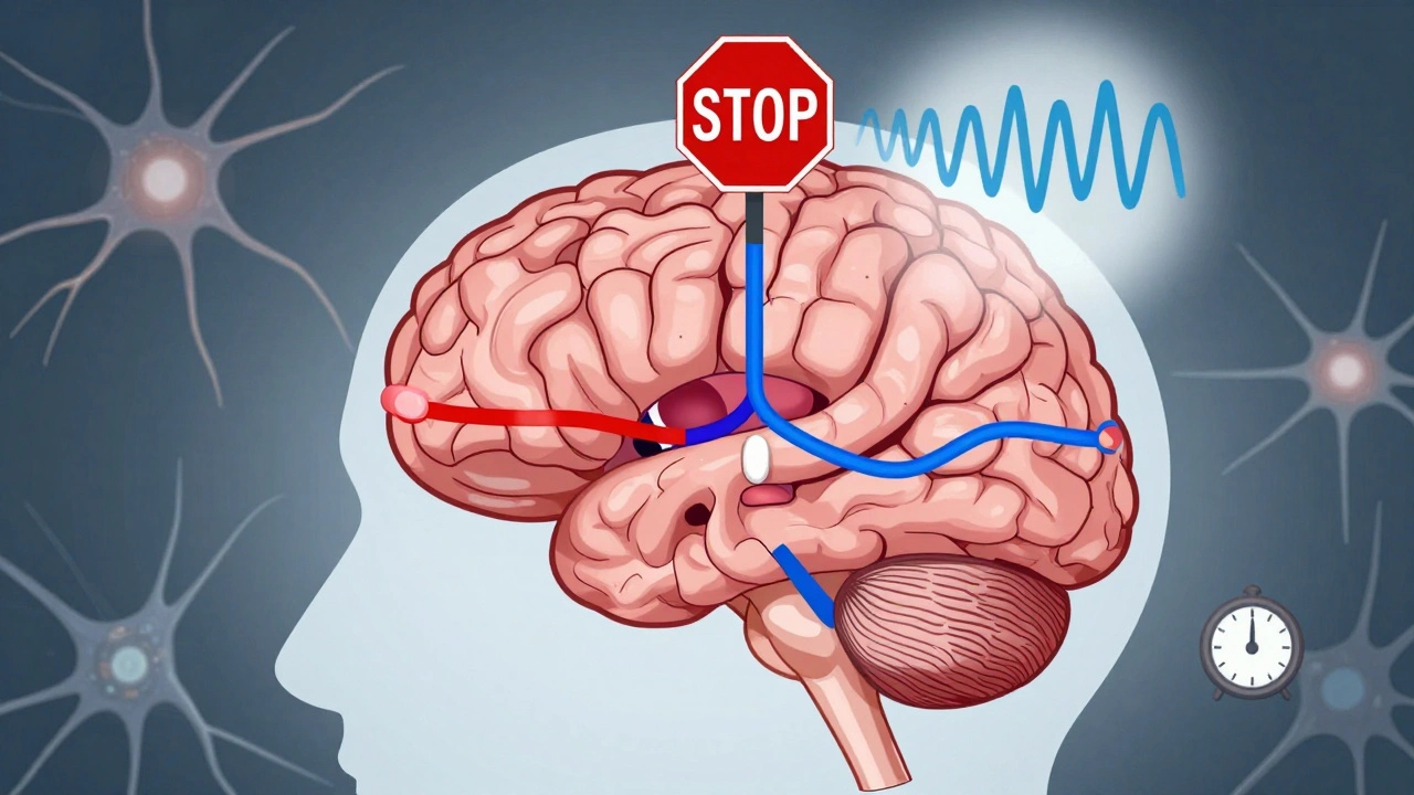 Benzodiazepines and Opioids: The Deadly Risk of Combined Respiratory Depression