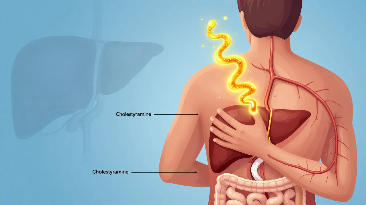 Pruritus in Cholestasis: Bile Acid Resins and New Treatment Options