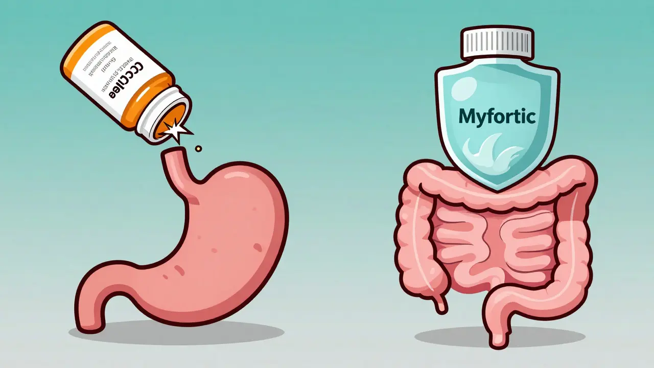 Diagram comparing standard vs enteric-coated mycophenolate absorption